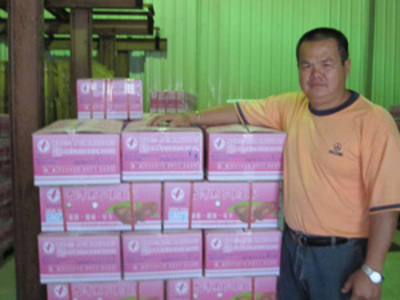 自立晚报 - 莲雾外销大陆 泰吉合作社启航