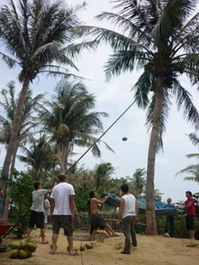 自立晚報 結婚新人最愛墾丁椰林之家變身新娘民宿